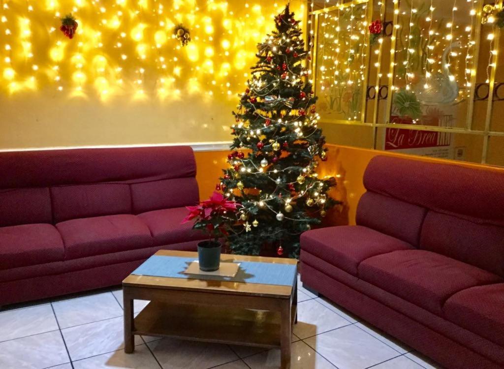 La Brea Inn Baguio City ภายนอก รูปภาพ